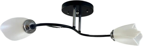 Изображение товара Потолочный светильник Lumix 1011/2 (черный/хром)