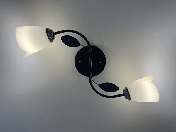 Изображение товара Потолочный светильник Lumix 1011/2 (черный/хром)