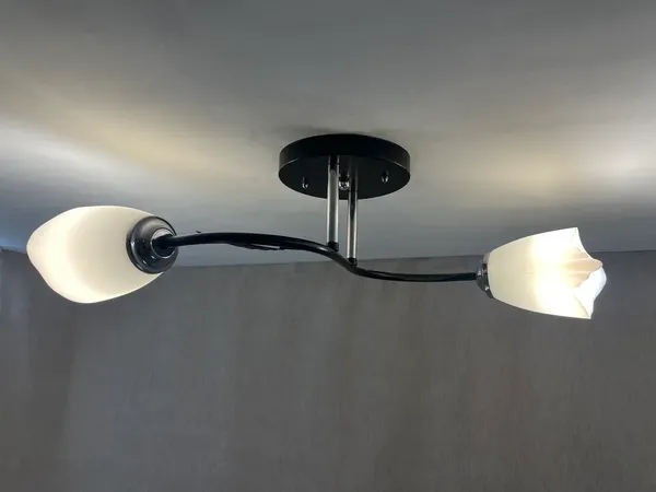 Изображение товара Потолочный светильник Lumix 1011/2 (черный/хром)