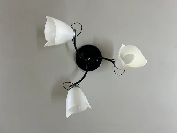 Изображение товара Люстра Lumix 1009/3 (черный/хром)