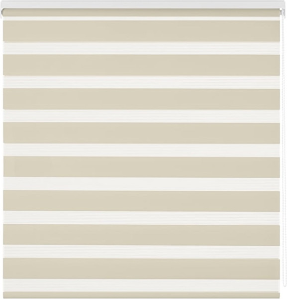 Изображение товара Рулонная штора Jalux День-Ночь V 2079/13 75x160 (бежевый)