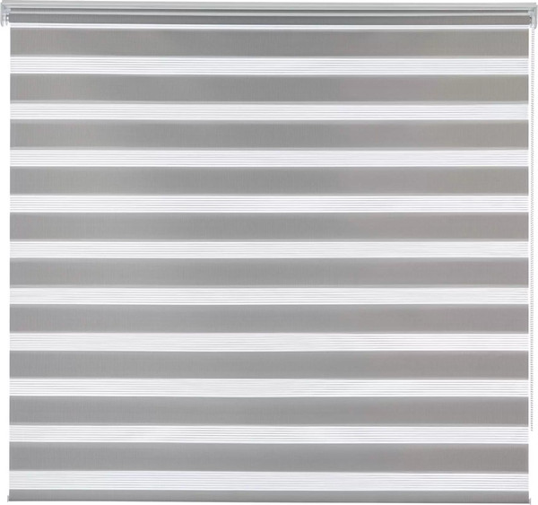 Изображение товара Рулонная штора Jalux День-Ночь Mic 113 75x160 (серый)