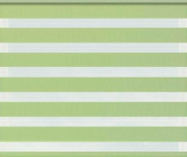 Изображение товара Рулонная штора Jalux День-Ночь Софт bh 1807 90x160 (фисташковый)