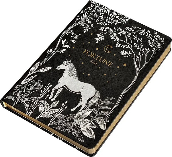 Изображение товара Ежедневник InFolio Fortune 2026 / I1723 (черный)