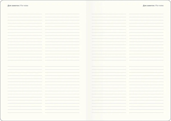 Изображение товара Ежедневник InFolio Fortune 2026 / I1723 (черный)