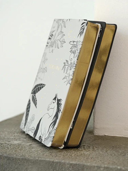 Изображение товара Ежедневник InFolio Fortune 2026 / I1723 (черный)