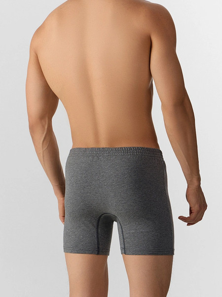Изображение товара Трусы мужские Mark Formelle 411155 (р.94-104, темно-серый меланж)