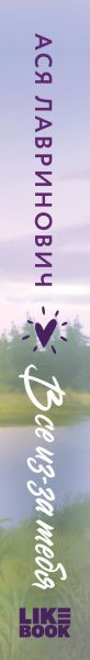 Изображение товара Книга Like Book Все из-за тебя, мягкая обложка (Лавринович Ася)