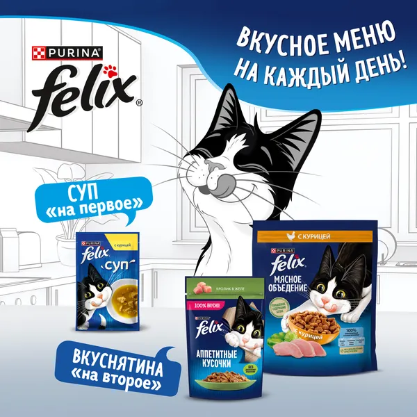 Изображение товара Сухой корм для кошек Felix Двойная вкуснятина с говядиной (600г)