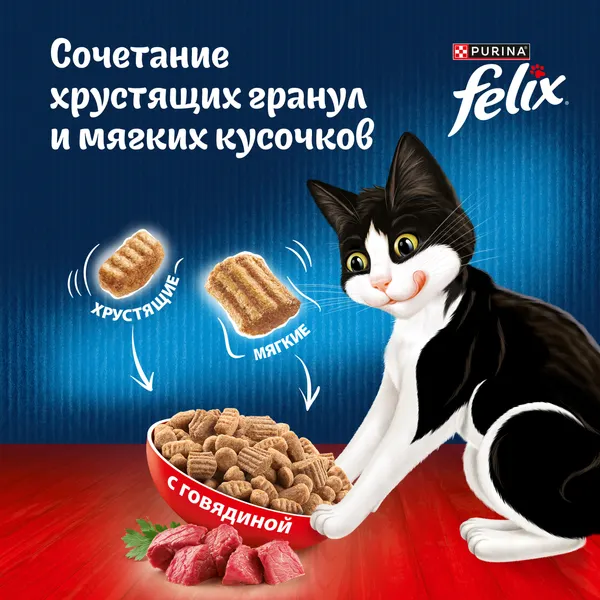 Изображение товара Сухой корм для кошек Felix Двойная вкуснятина с говядиной (600г)