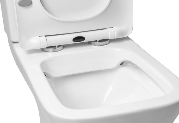 Изображение товара Чаша унитаза напольного Saniteco WD0039