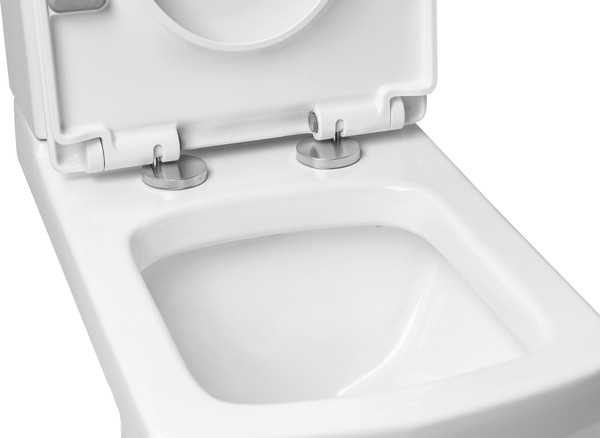 Изображение товара Сиденье для унитаза Saniteco WD0040