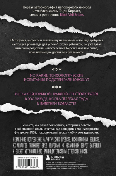 Изображение товара Книга Бомбора Они не поймут эти истории: Вдохновляющая автобиография (Бирсак Э., 9785042118166)