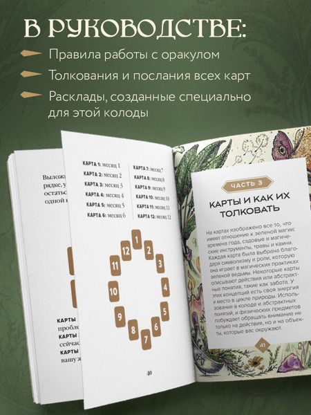 Изображение товара Гадальные карты Эксмо Зеленая ведьма. Колода-оракул (9785042052552)