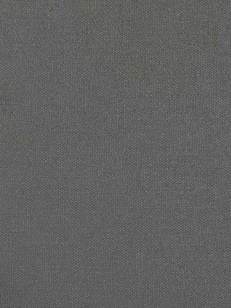 Изображение товара Рулонная штора Jalux Скай 19 40x160 (темно-серый)