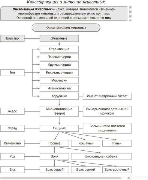 Изображение товара Учебное пособие Аверсэв Биология. 8 класс. Опорные конспекты, схемы и таблицы. 2025 (9789851978966)
