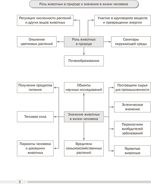 Изображение товара Учебное пособие Аверсэв Биология. 8 класс. Опорные конспекты, схемы и таблицы. 2025 (9789851978966)