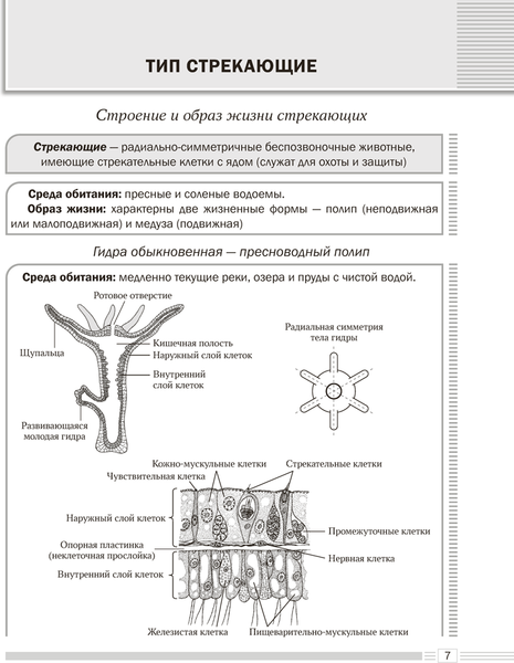 Изображение товара Учебное пособие Аверсэв Биология. 8 класс. Опорные конспекты, схемы и таблицы. 2025 (9789851978966)