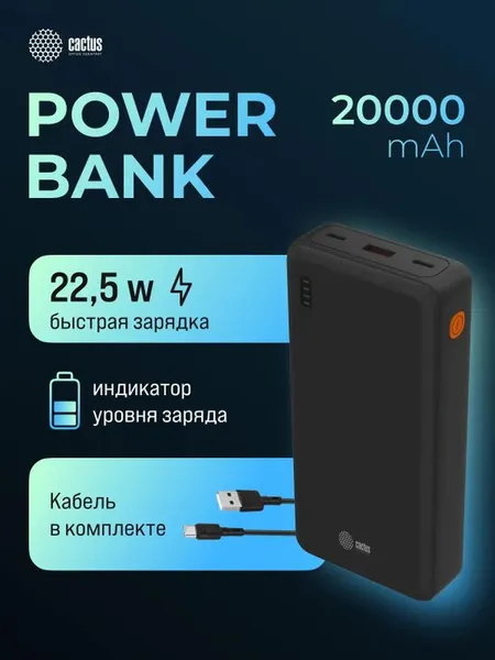 Изображение товара Портативное зарядное устройство Cactus CS-PBFSDA-20000