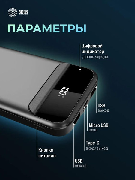 Изображение товара Портативное зарядное устройство Cactus CS-PBFSCA-10000 (черный)
