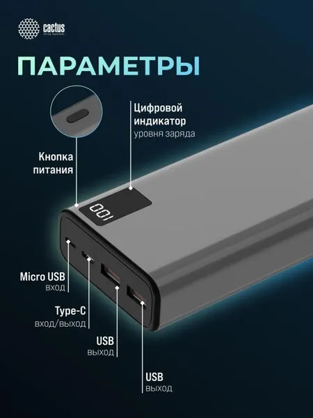 Изображение товара Портативное зарядное устройство Cactus CS-PBFSFA-20000 (серый)