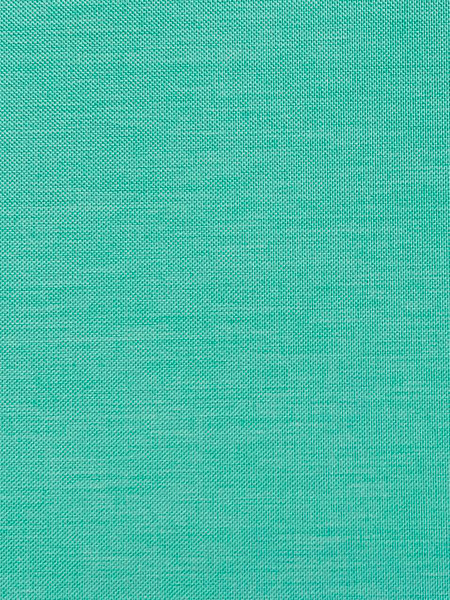 Изображение товара Рулонная штора Jalux МЕ 731 51x160 (бирюзовый)