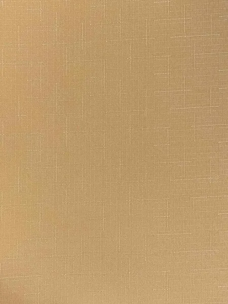 Изображение товара Рулонная штора Jalux Лен 2071 51x160 (морковный)