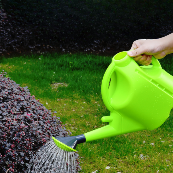 Изображение товара Лейка садовая Deli EDL581010 (10л, зеленый)