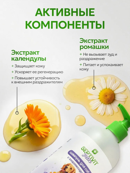 Изображение товара Шампунь для животных Septivit Pets Для собак с хлоргексидином (1л)