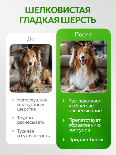 Изображение товара Шампунь для животных Septivit Pets Для собак с хлоргексидином (1л)
