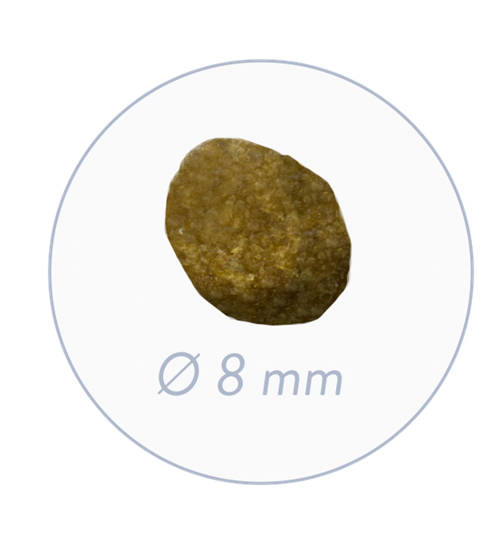 Изображение товара Сухой корм для кошек Bosch Petfood Sanabelle Adult Trout Тew (8кг)