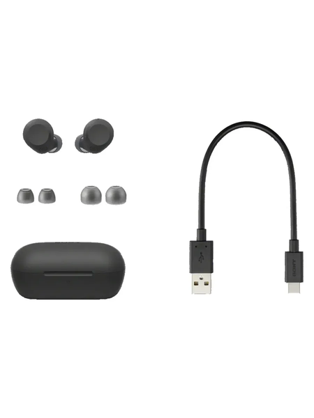 Изображение товара Беспроводные наушники Sony WF-C710N (черный)