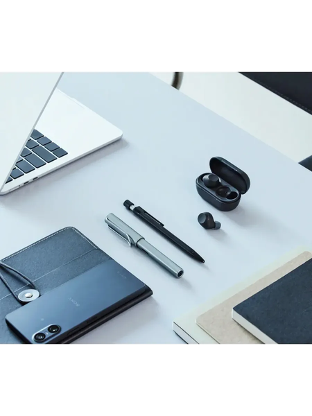 Изображение товара Беспроводные наушники Sony WF-C710N (черный)