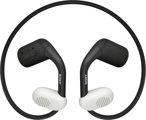 Изображение товара Беспроводные наушники Sony WI-OE610 (черный)