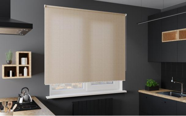 Изображение товара Рулонная штора Jalux N 2063 95x160 (темно-бежевый)