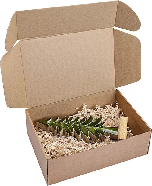 Изображение товара Статуэтка Tkano New Year Essential Fairy tree / TK25-NY_CTR0002