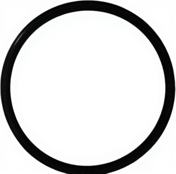 Изображение товара Уплотнительное кольцо для автомобиля Victor Reinz 40-76165-00