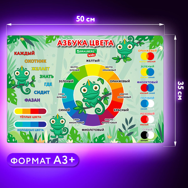 Изображение товара Бювар Brauberg Kids. Color Map / 272360