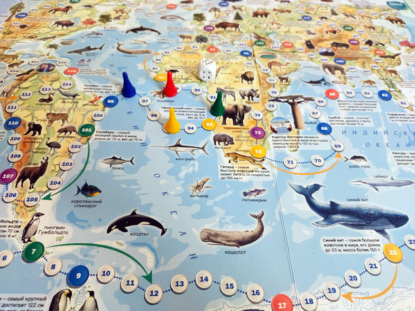 Изображение товара Настольная игра Белкартография Карта-игра. От Антарктики до Арктики