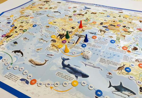 Изображение товара Настольная игра Белкартография Карта-игра. От Антарктики до Арктики