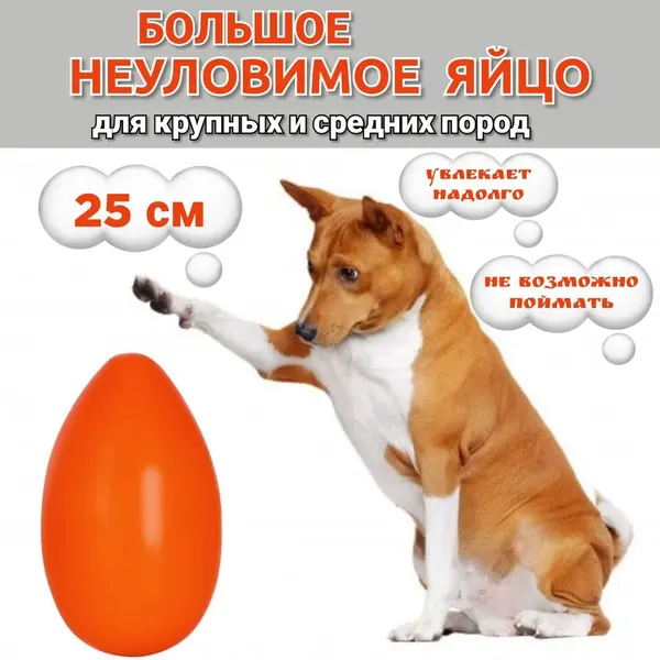Изображение товара Игрушка для собак Пижон Неуловимое яйцо 25см