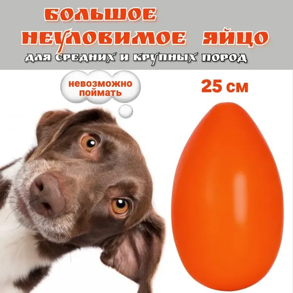Изображение товара Игрушка для собак Пижон Неуловимое яйцо 25см