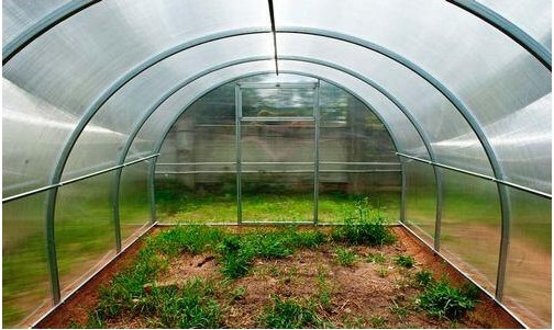 Изображение товара Теплица Садовод Элит-40 0.7кг/м2 (6м, с поликарбонатом)