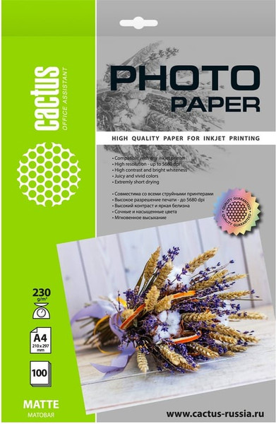 Изображение товара Фотобумага Cactus CS-MA4230100
