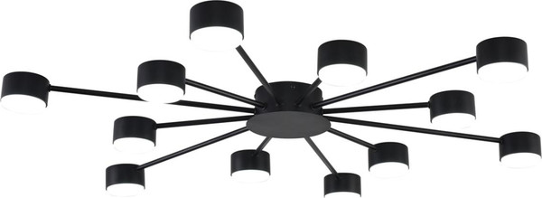 Изображение товара Люстра Lumion Torina 8344/12C