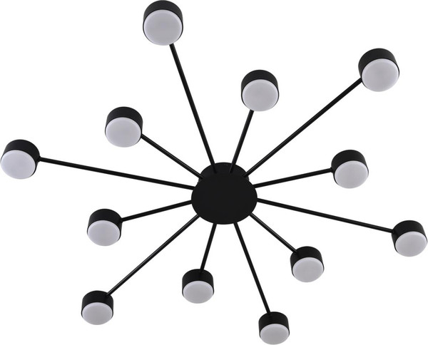 Изображение товара Люстра Lumion Torina 8344/12C