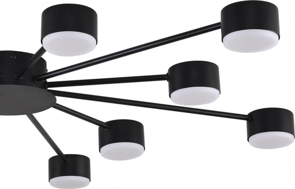 Изображение товара Люстра Lumion Torina 8344/12C