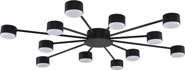 Изображение товара Люстра Lumion Torina 8344/12C