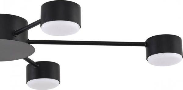 Изображение товара Люстра Lumion Torina 8344/6C