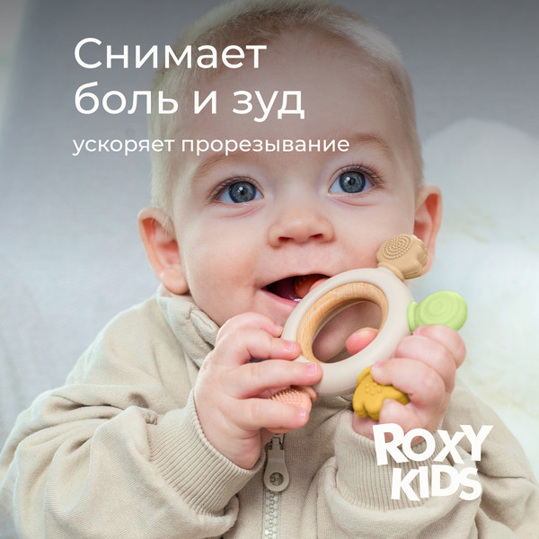 Изображение товара Прорезыватель для зубов ROXY-KIDS Штурвал / RWDN-001
